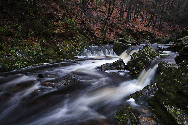 포토 JPG 해외이미지 자연 휴가 풍경 사람없음 강 산책 폭포 하이킹 바위 개울 숲 벨기에 해외202004 해외포토 레저 휴식 돌_바위 생태계 서유럽 파일형식 이미지허브