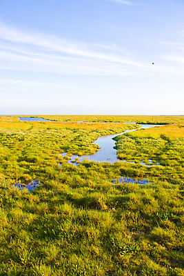 포토 JPG 해외이미지 구름 계절 호수 바다 백그라운드 밭 자연 하늘 파노라마 풍경 잔디 사람없음 야외 초록색 물 여름 파란색 빛 강 컬러풀 햇빛 농장 환경 정원 맑음 활발 시골 신선 개울 땅 밭일 변소 생태학 수평선 해외202004 해외포토 자연요소 식물 교육 컬러 컨셉 농업 날씨 촬영기법 태양 생태계 파일형식 이미지허브