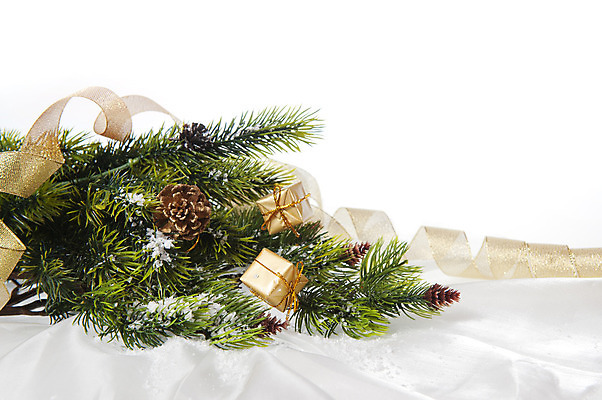 포토 JPG 해외이미지 나무 디자인 종이 백그라운드 크리스마스 텍스트 휴가 새로움 새해 선물 사람없음 장식 가로 우주 공백 장식볼 수확 나뭇가지 축하 인사 소나무 신용카드 화려 황금 연도 복고 전나무 엘리먼트 옛날 스타일 카피스페이스 방식 해외202004 해외포토 식물 기념일 컨셉 농업 금융 예절 파일형식 이미지허브