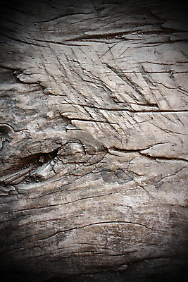 포토 JPG 해외이미지 나무 디자인 벽 백그라운드 패턴 자연 벽지 표면 추상 바닥 사람없음 목재 장식 갈색 어둠 줄무늬 손상 수확 골동품 판넬 역사 닫기 널 낟알 묘사 질감 복고 매듭 호두 목공예 잡동사니 그런지 수목 엘리먼트 옛날 해외202004 해외포토 식물 컬러 컨셉 무늬 농업 재료 모션 견과류 공예 생태계 파일형식 이미지허브