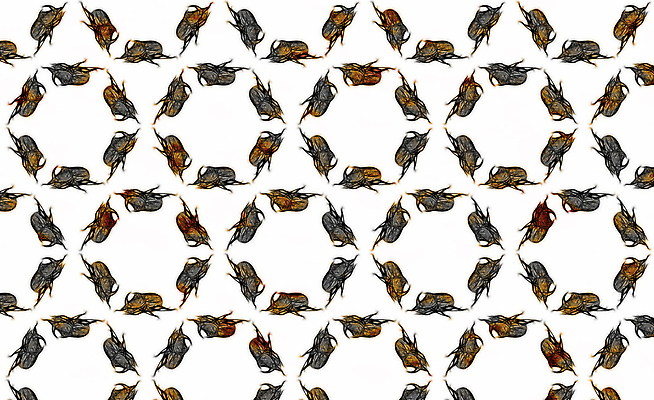 포토 JPG 해외이미지 동물 곤충 백그라운드 패턴 일러스트 추상 사람없음 검은색 회색 흰색 윤곽 모자이크 육각형 벌집 대칭 해외202004 해외포토 도형 컬러 무늬 파일형식 이미지허브