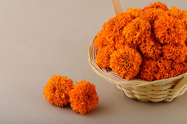 포토 JPG 해외이미지 식물 전통 꽃잎 꽃 행복 아시아 종교 문화 꽃다발 꽃무늬 패턴 오렌지 자연 사람없음 장식 초록색 컬러풀 노란색 쌓기 바구니 봄 벚꽃 가을 인사 신선 사찰 시장 대나무 오브젝트 꽃가루 흙더미 내추럴 신앙심 힌두교 해외202004 해외포토 나무 계절 감정 나라 컬러 무늬 과일 종교건축 모션 흙 예절 가루 생태계 파일형식 더미 이미지허브