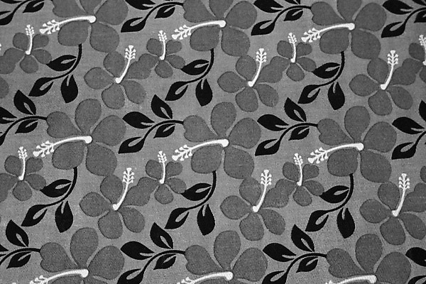 포토 JPG 해외이미지 꽃 백그라운드 잎 사람없음 장식 검은색 회색 흰색 직물 섬유 해외202004 해외포토 식물 컬러 파일형식 이미지허브