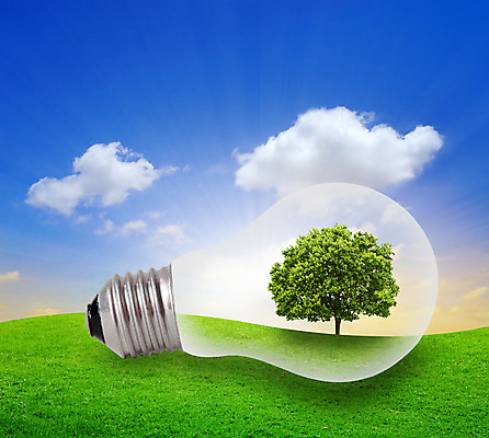 포토 JPG 해외이미지 나무 식물 손 컨셉 잎 비즈니스 전구 자연 유리 하늘 미래 아이디어 건강 사람 사람없음 초록색 파란색 빛 글로벌 환경 힘 재활용 장비 에너지 성장 램프 잡기 심볼 에코 생태계 자원 해결 혁명 고립 교토 발명 생태학 해외202004 해외포토 교육 컬러 모션 재질 조명 신체부위 일본 친환경 파일형식 이미지허브