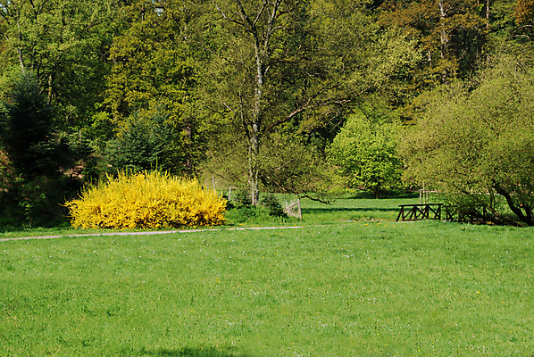 포토 JPG 해외이미지 나무 공원 백그라운드 잎 2 자연 그림자 풍경 사람없음 옆모습 초록색 여름 파란색 빛 세트 컬러풀 햇빛 태양 환경 맑음 일몰 봄 젖음 숲 설정 내추럴 강렬 그리너리 해외202004 해외포토 자연요소 식물 계절 공공시설 뷰포인트 컬러 날씨 노을 생태계 파일형식 트랜드컬러 이미지허브