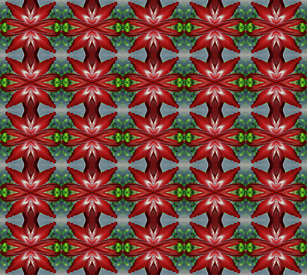 포토 JPG 해외이미지 식물 꽃 백그라운드 패턴 자연 벽지 추상 사람없음 컬러풀 나뭇가지 해외202004 해외포토 나무 컬러 무늬 생태계 파일형식 이미지허브