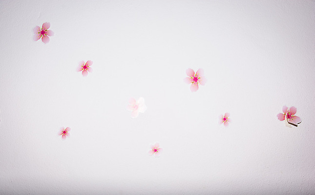 포토 JPG 해외이미지 꽃잎 꽃 종이 벽 잎 곡선 건축양식 미술 사람없음 건물 장식 회색 재산 묘사 시멘트 목각 석고 진짜 해외202004 해외포토 식물 건축물 건축 선 컬러 문화예술 금융 파일형식 이미지허브