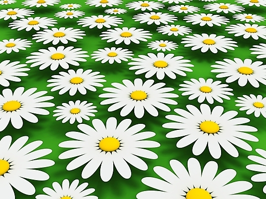 포토 JPG 해외이미지 식물 디자인 꽃잎 꽃 백그라운드 꽃무늬 패턴 밭 일러스트 자연 벽지 아침 추상 종류 미술 사람없음 야외 그래픽 장식 초록색 여름 세트 컬러풀 태양 노란색 3D 정원 봄 벚꽃 흰색 개화 데이지 심플 캔버스 내추럴 쉬운 캐모마일 해외202004 해외포토 주간 자연요소 계절 컬러 무늬 농업 문화예술 허브 디지털합성 생태계 파일형식 이미지허브