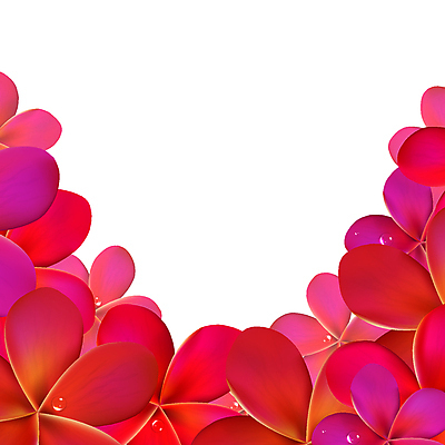 포토 JPG 해외이미지 식물 디자인 공원 꽃잎 꽃 분홍색 백그라운드 텍스트 자연 휴식 프레임 건강 사랑 사람없음 빨간색 우주 정원 스파 벚꽃 흰색 신용카드 향수 오브젝트 하와이 향기 발리 초대 태평양 환영 악취 남쪽 말레이시아 고립 엘리먼트 이국적 하와이인 알로하 해외202004 해외포토 외국인 공공시설 감정 아시아 바다 컬러 섬 컨셉 금융 미국 화장품 인사 방향 생태계 냄새 인도네시아 파일형식 이미지허브