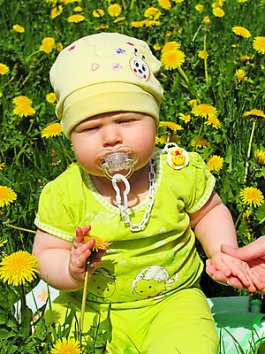 포토 JPG 해외이미지 꽃 행복 어린이 한명 소년 초록색 노란색 아기 민들레 해외202004 해외포토 식물 1 남자 감정 컬러 사람 파일형식 이미지허브