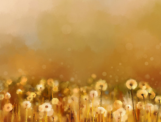 포토 JPG 해외이미지 식물 디자인 계절 꽃 백그라운드 잎 꽃무늬 밭 일러스트 자연 추상 미술 풍경 사람없음 장식 여름 빛 햇빛 태양 일출 정원 페인트 봄 들꽃 수확 벚꽃 가을 신선 붓 민들레 그림 복고 데이지 캔버스 부드러움 캐모마일 파스텔톤 아크릴 해외202004 해외포토 자연요소 컬러 무늬 농업 재질 문화예술 노을 감각 허브 생태계 파일형식 이미지허브