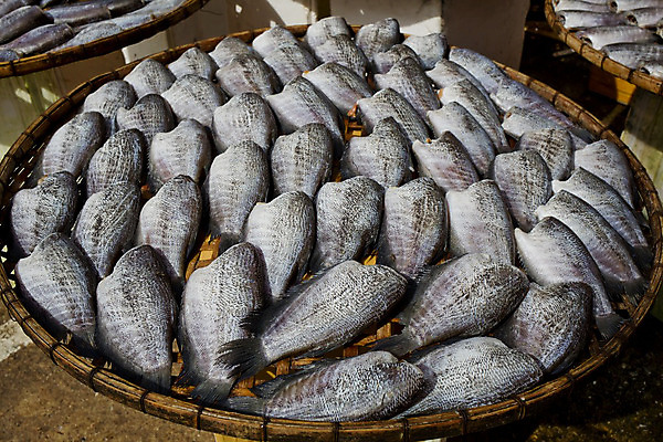 포토 JPG 해외이미지 동물 전통 접시 문화 음식 백그라운드 재료 낚시 건조 건강 육류 어류 요리 사람없음 머리 식당 냉동 저녁식사 죽음 신선 원형 보호 작음 먹기 해산물 피부 대나무 메뉴 상쾌 눈금 꼬리 날것 낚시꾼 어장 훈제 점심식사 수유 절임 줄서기 짠맛 해외202004 해외포토 도형 나무 식기 감정 컨셉 식재료 모션 레저 신체부위 상점 식사 수중동물 맛 크기 파일형식 이미지허브