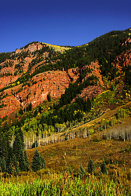 포토 JPG 해외이미지 나무 식물 계절 잎 자연 산 풍경 사람없음 파란색 컬러풀 노란색 가을 소나무 그림 콜로라도 해외202004 해외포토 컬러 미국 생태계 파일형식 이미지허브