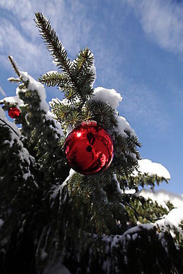 포토 JPG 해외이미지 모양 나무 전통 디자인 계절 백그라운드 크리스마스 겨울 공 유리 휴가 새로움 기념 풍경 사람없음 야외 장식 빨간색 초록색 빛 우주 축제 장식볼 추위 흰색 나뭇가지 축하 소나무 원형 눈송이 12월 연도 전나무 여의주 눈내림 해외202004 해외포토 도형 식물 기념일 컬러 컨셉 재질 눈_날씨 날짜 파일형식 이미지허브