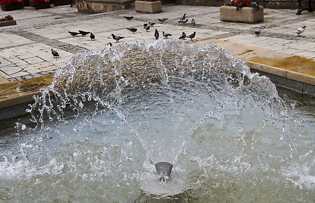 포토 JPG 해외이미지 나무 공원 백그라운드 자연 조류 사람없음 야외 물 연못 신선 발사 분수 비둘기 스프레이 스플래쉬 해외202004 해외포토 자연요소 식물 동물 공공시설 생태계 파일형식 이미지허브