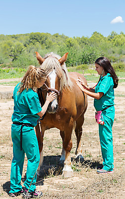 포토 JPG 해외이미지 동물 백인 직업 여자 남자 2 밭 포유류 사람 두명 약 농장 목장 고통 시험 시골 소 승마 군중 확인 히스패닉 외과 수의사 기르기 돌봄 해외202004 해외포토 서양인 교육 감정 스포츠 농업 의학 모션 병원 의사 파일형식 이미지허브
