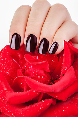 포토 JPG 해외이미지 손 손가락 미술 사람없음 빛 장미 유행 화장품 손톱 돌봄 위생관리 아크릴 스타일 해외202004 해외포토 꽃 모션 재질 문화예술 관리 신체부위 뷰티 파일형식 이미지허브