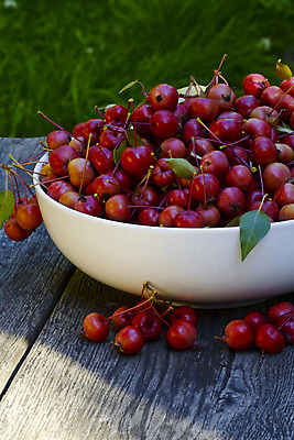 포토 JPG 해외이미지 음식 백그라운드 잎 다이어트 과일 자연 탁자 건강 사람없음 야외 목재 빨간색 초록색 컬러풀 정원 식사 흰색 신선 맛 사과 먹기 유기농 내추럴 숙성 해외202004 해외포토 나무 식물 웰빙 컬러 가구 컨셉 재료 모션 생태계 파일형식 이미지허브