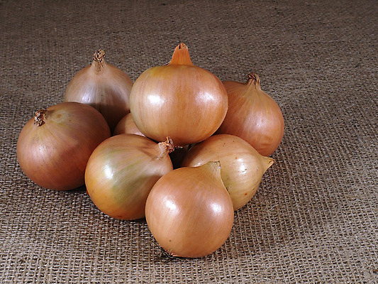 포토 JPG 해외이미지 음식 농업 다이어트 채소 재료 양파 건강 요리 사람없음 빨간색 주방 껍질 흰색 신선 양념 시장 자르기 피부 향신료 날것 해외202004 해외포토 산업 컬러 모션 신체부위 향미료 파일형식 이미지허브