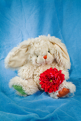 포토 JPG 해외이미지 동물 응시 어린이 새끼 인형 포옹 놀이 따뜻함 사랑 미소 사람 앉기 사람없음 가로 빨간색 장난감 카메라 사진촬영 게임 흰색 개 강아지 수집 순수 만족 보케 부드러움 고립 구성 옛날 해외202004 해외포토 시선 감정 컬러 컨셉 포유류 안기 모션 표정 전자제품 반려동물 촬영 감각 파일형식 이미지허브