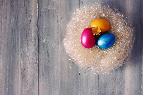 포토 JPG 해외이미지 전통 디자인 계절 꽃 분홍색 탁자 휴가 부활절 이벤트 사람없음 목재 장식 초록색 파란색 컬러풀 노란색 계란 축제 봄 수확 축하 직물 코드 둥지 시원함 심볼 복고 데이지 부드러움 양모 해외202004 해외포토 나무 식물 기념일 컬러 가구 컨셉 농업 재료 알 감각 파일형식 이미지허브