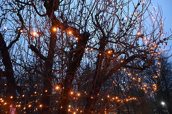 포토 JPG 해외이미지 디자인 여행 백그라운드 크리스마스 불 휴가 새해 사람없음 장식 빛 파티 우주 축제 화환 축하 원형 야간 소프트포커스 보케 부드러움 마법 블러 필터 해외202004 해외포토 자연요소 도형 기념일 꽃 컨셉 촬영기법 이벤트 감각 파일형식 이미지허브