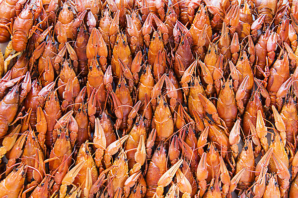 포토 JPG 해외이미지 동물 전통 음식 백그라운드 양서류 어류 사람없음 빨간색 식사 맛 가재 질감 암 러시아인 삶기 많음 해외202004 해외포토 서양인 컬러 컨셉 갑각류 수중동물 질병 파일형식 이미지허브