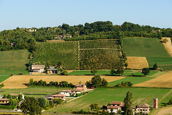 포토 JPG 해외이미지 나무 외관 음료 여행 농업 건축양식 자연 하늘 풍경 사람없음 야외 건물 초록색 파란색 여행객 마을 와인 이탈리아 시골 도시 중세 묘사 언덕 포도밭 타운 천연기념물 바이오 해외202004 해외포토 식물 건축물 건축 유럽 산업 컬러 밭 주류 사람 역사 생태계 파일형식 이미지허브