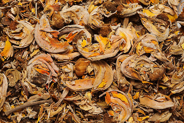 포토 JPG 해외이미지 식물 꽃 과학 농업 건조 종류 씨앗 사람없음 약 약초 수집 허브 생물학 치료제 해외202004 해외포토 교육 산업 의학 풀_식물 파일형식 이미지허브