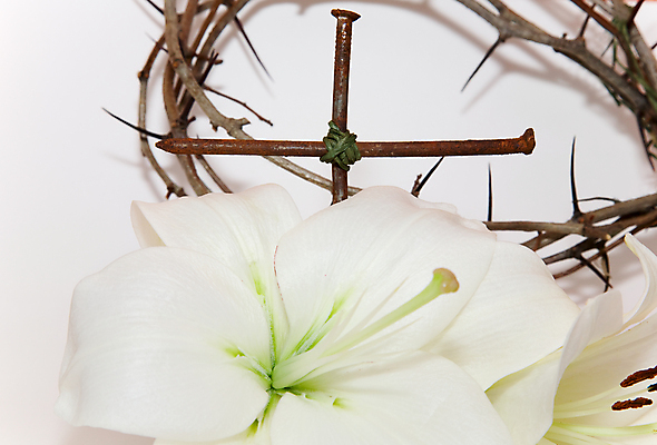 포토 JPG 해외이미지 식물 전통 계절 꽃 기독교 종교 컨셉 십자가 왕관 부활절 3 사람없음 가로 초록색 갈색 믿음 금속 봄 천주교 벚꽃 흰색 신선 못 예수 가시 신성 숭배 카피스페이스 해외202004 해외포토 기념일 감정 컬러 재질 공백 공구 신_종교 파일형식 이미지허브