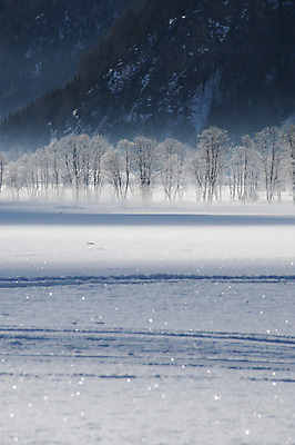 포토 JPG 해외이미지 나무 겨울 자연 산 사람없음 계곡 냉동 얼음 이탈리아 추위 안개 12월 서리 알프스 해외202004 해외포토 자연요소 식물 계절 유럽 날씨 날짜 생태계 파일형식 이미지허브