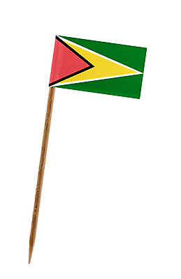 포토 JPG 해외이미지 전통 디자인 종이 문화 사람없음 목재 장식 흰색 깃발 칵테일 막대기 선택 치아 심볼 이쑤시개 애국심 고립 신분증 정치 해외202004 해외포토 나무 컬러 컨셉 재료 주류 소화기관 증명서 파일형식 이미지허브