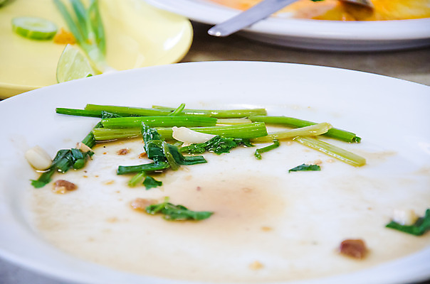 포토 JPG 해외이미지 접시 음식 채소 사람없음 초록색 환경 젖음 흰색 쓰레기 먹기 유기농 흙더미 낭비 생태학 썩음 해외202004 해외포토 식기 웰빙 교육 컬러 컨셉 모션 흙 파일형식 더미 이미지허브