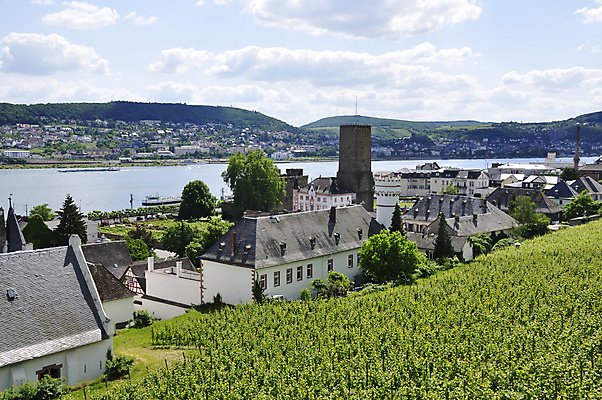 포토 JPG 해외이미지 구름 유럽 여행 하늘 주택 독일 풍경 사람없음 강 농장 여행객 세계문화유산 중세 땅 해외202004 해외포토 자연요소 나라 농업 사람 건물 문화재 역사 파일형식 이미지허브