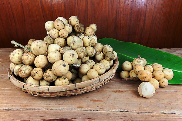 포토 JPG 해외이미지 아시아 음식 농업 다이어트 과일 태국 자연 디저트 건강 동양인 사람없음 노란색 신선 달콤 유기농 해외202004 해외포토 웰빙 나라 산업 컬러 인종 맛 생태계 파일형식 이미지허브