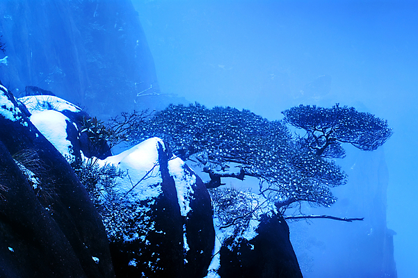 포토 JPG 해외이미지 구름 자연 산 풍경 사람없음 중국 안개 소나무 암초 해외202004 해외포토 자연요소 나무 아시아 날씨 생태계 파일형식 이미지허브