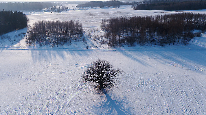 포토 JPG 해외이미지 나무 계절 여행 백그라운드 겨울 밭 자연 하늘 날씨 안테나 풍경 사람없음 야외 파란색 얼음 추위 흰색 시골 땅 서리 장면 내추럴 드론 눈내림 해외202004 해외포토 자연요소 식물 컬러 농업 통신 눈_날씨 생태계 파일형식 이미지허브