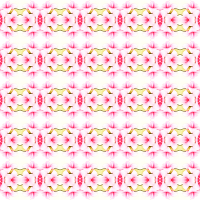 포토 JPG 해외이미지 식물 꽃 분홍색 백그라운드 꽃무늬 패턴 자연 벽지 추상 사람없음 컬러풀 벚꽃 난초 인공 해외202004 해외포토 컬러 무늬 생태계 파일형식 이미지허브