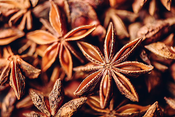 포토 JPG 해외이미지 실내 사람없음 향신료 해외202004 팔각회향 해외포토 내부 향미료 파일형식 이미지허브