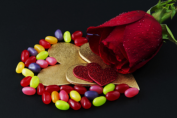 포토 JPG 해외이미지 전통 꽃잎 꽃 검은배경 발렌타인데이 사탕 사랑 사람없음 장미 개화 심볼 부드러움 유대감 해외202004 해외포토 식물 감정 백그라운드 데이이벤트 디저트 검은색 감각 파일형식 이미지허브