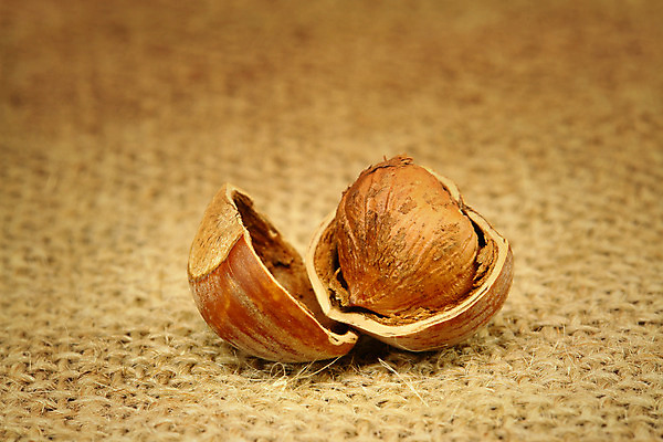 포토 JPG 해외이미지 음식 농업 과일 재료 자연 건조 건강 사람없음 갈색 쌓기 견과류 껍질 가을 그룹 맛 먹기 삼베 유기농 날것 자루 내추럴 개암 해외202004 해외포토 웰빙 계절 열매 산업 컬러 컨셉 모션 생태계 파일형식 천_직물 이미지허브