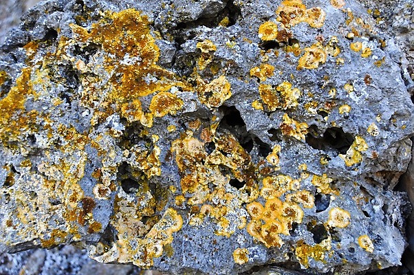 포토 JPG 해외이미지 이끼 사람없음 지질학 화강암 해외202004 해외포토 교육 암석 파일형식 이미지허브