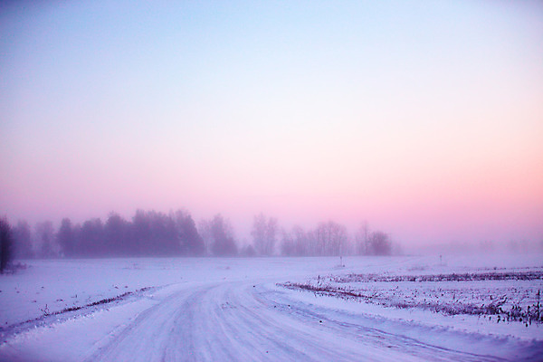 포토 JPG 해외이미지 나무 도로 분홍색 겨울 밭 하늘 아침 풍경 사람없음 목재 파란색 햇빛 일출 새벽 안개 숲 제비꽃 서리 북쪽 1월 벨로루시 해외202004 해외포토 주간 자연요소 식물 계절 꽃 길 컬러 농업 재료 교통시설 날씨 태양 노을 날짜 방향 파일형식 이미지허브