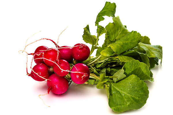 포토 JPG 해외이미지 식물 문화 음식 백그라운드 잎 농업 채소 재료 자연 건강 요리 사람없음 빨간색 초록색 정원 보라색 샐러드 수확 흰색 신선 그룹 작음 다발 상쾌 날것 뿌리 흙더미 내추럴 고립 숙성 채식주의자 총각무 비건 해외202004 해외포토 감정 산업 컬러 흙 크기 무 생태계 채식 파일형식 더미 이미지허브