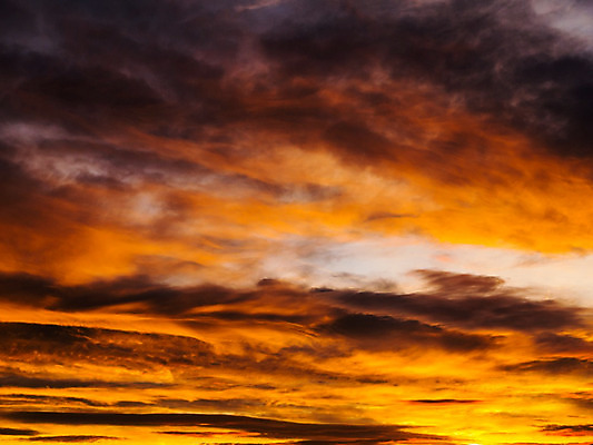 포토 JPG 해외이미지 구름 백그라운드 오렌지 자연 하늘 아침 날씨 추상 풍경 사람없음 빨간색 여름 빛 컬러풀 햇빛 태양 노란색 일출 어둠 황혼 일몰 새벽 활발 광선 분위기 황금 저녁 장면 폭풍 천국 스카이라인 웅장함 해외202004 해외포토 주간 자연요소 계절 컬러 컨셉 무늬 과일 노을 야간 생태계 파일형식 이미지허브