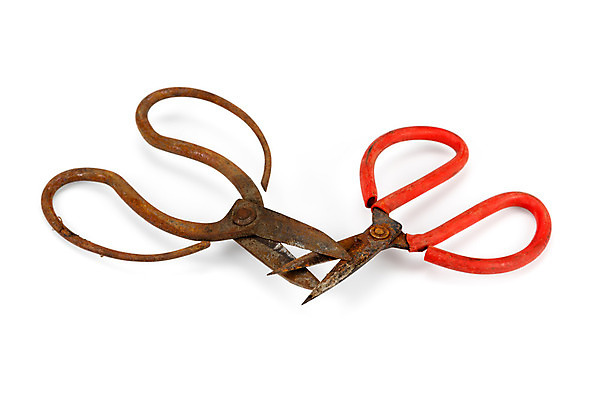 포토 JPG 해외이미지 백그라운드 사람없음 금속 장비 수확 골동품 흰색 기구 공구 쌍 칼날 큼 바느질 자르기 오브젝트 부식 복고 날카로움 재단 재단사 고립 그런지 옛날 중고 철강 해외202004 해외포토 직업 컬러 농업 모션 재질 도구 크기 파일형식 이미지허브