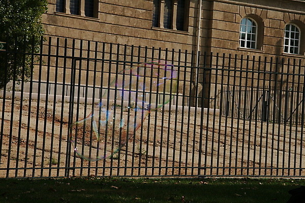 포토 JPG 해외이미지 나무 벽 창문 사람없음 거품 게임 투명 비누 슬라이드 철책 해외202004 해외포토 식물 놀이 위생용품 파일형식 이미지허브