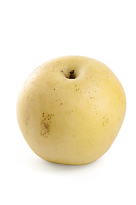 포토 JPG 해외이미지 아시아 음식 백그라운드 다이어트 과일 디저트 건강 3 동양인 사람없음 노란색 중국 흰색 신선 원형 그룹 달콤 맛 유기농 내추럴 고립 숙성 채식주의자 많음 해외202004 해외포토 도형 웰빙 나라 컬러 컨셉 인종 채식 파일형식 이미지허브