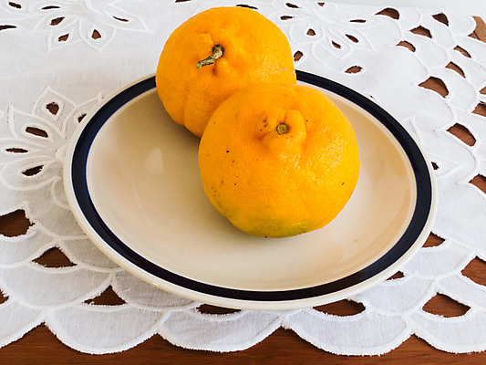 포토 JPG 해외이미지 접시 음식 백그라운드 다이어트 오렌지 과일 자연 탁자 귤 주택 건강 사람없음 목재 수건 노란색 주스 흰색 신선 달콤 맛 유기농 날것 내추럴 해외202004 해외포토 나무 식기 웰빙 음료 컬러 가구 컨셉 재료 건물 위생용품 생태계 파일형식 이미지허브