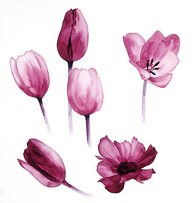 JPG 해외이미지 식물 꽃 꽃다발 일러스트 붓터치 수채화 사람없음 그림 번짐 해외202004 해외일러스트 파일형식 효과 이미지허브